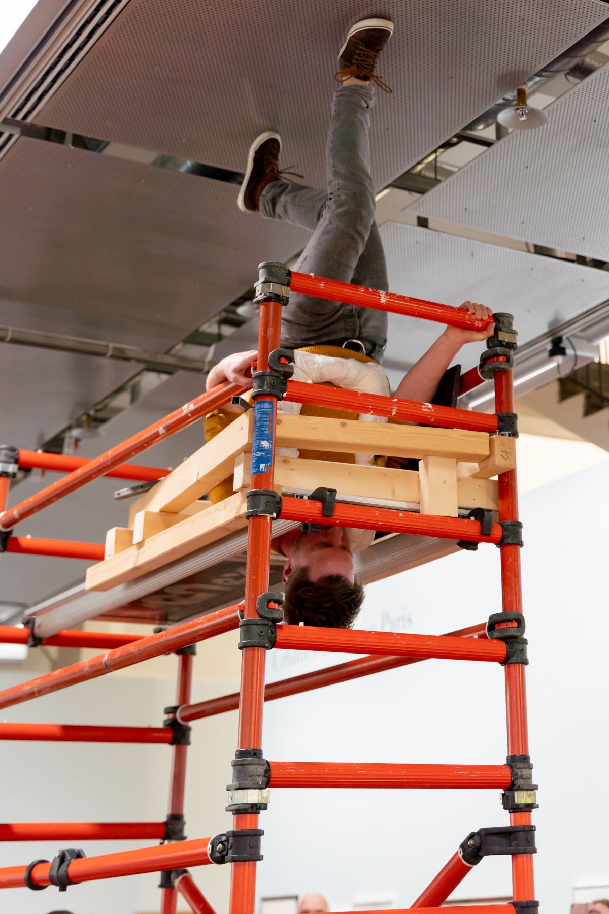Paris, Paris! Ériger sa maison sur le dos d'éléphants en mouvement