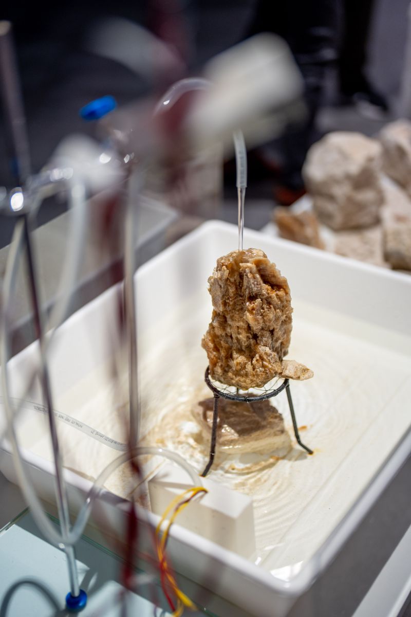 Retour de Paris : Karolina Sobel