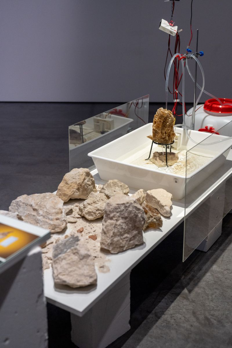 Retour de Paris : Karolina Sobel