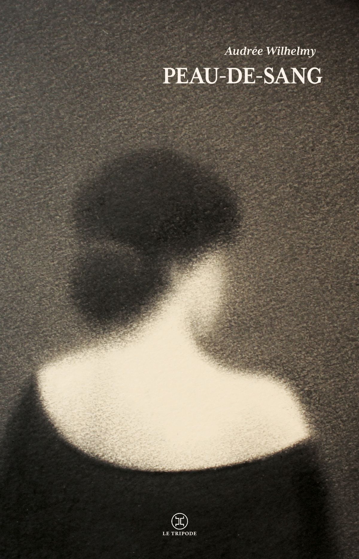 La Rentrée littéraire au CCFA : Audrée Wilhelmy (Québec)