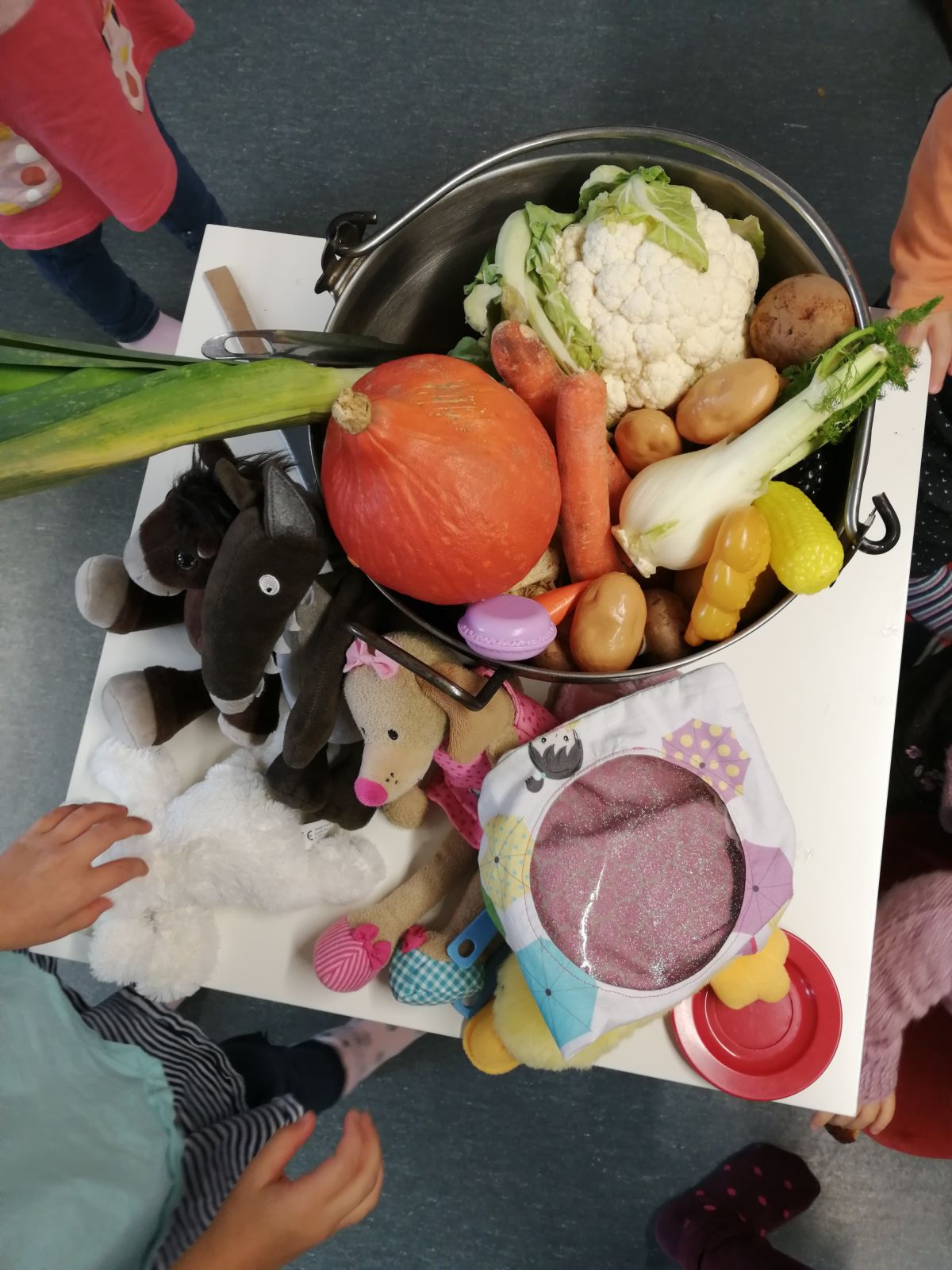 Une soupe au caillou