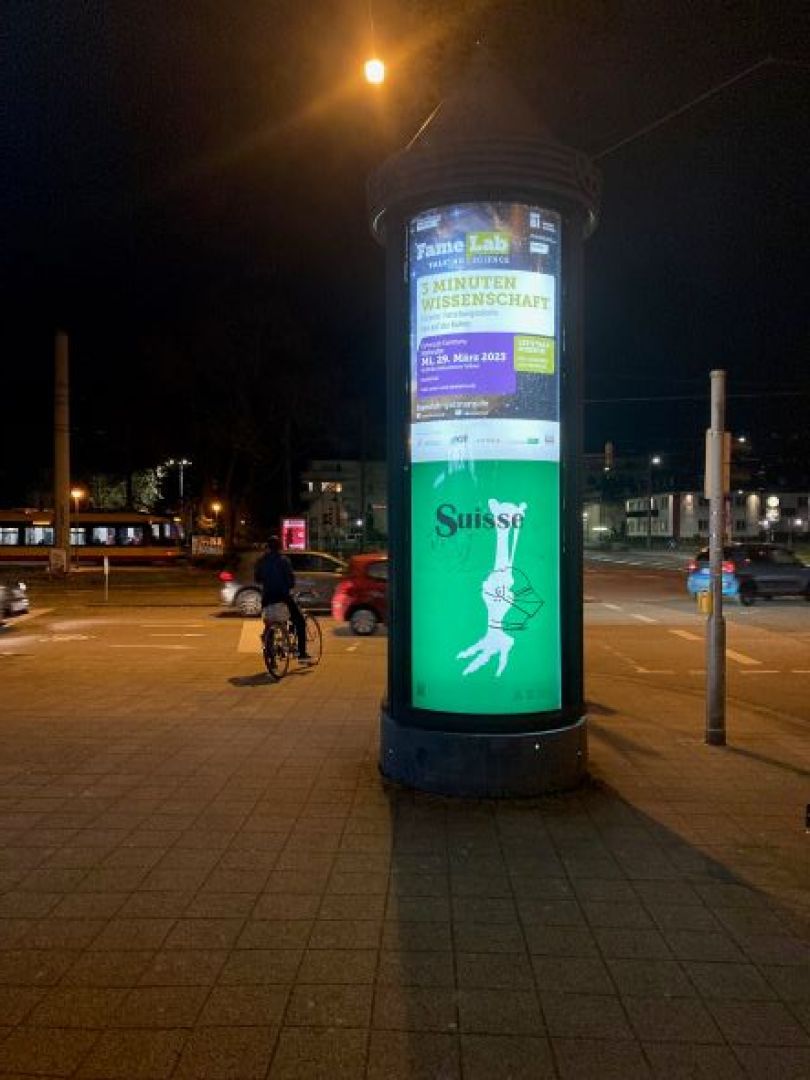 Heidi Wood : collections francophones