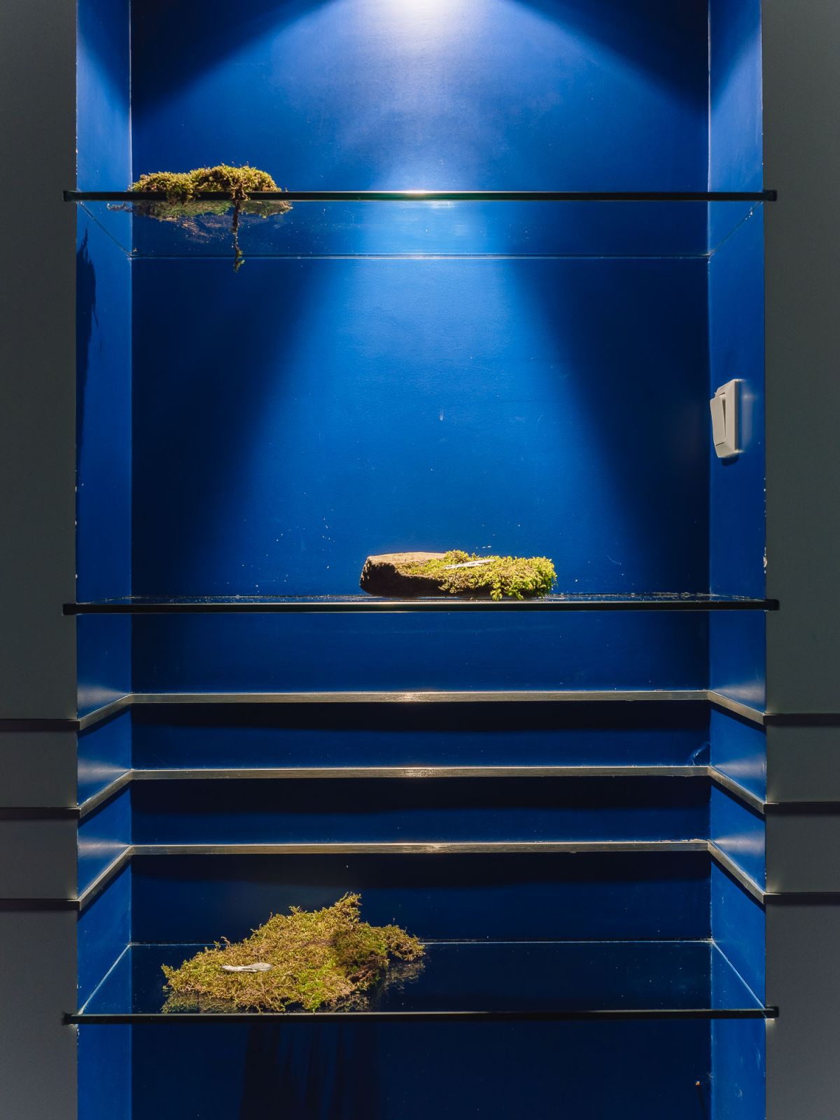 Retour de Paris : Juli Gebhardt « Out of bounds »