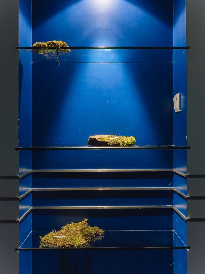 Retour de Paris : Juli Gebhardt « Out of bounds »