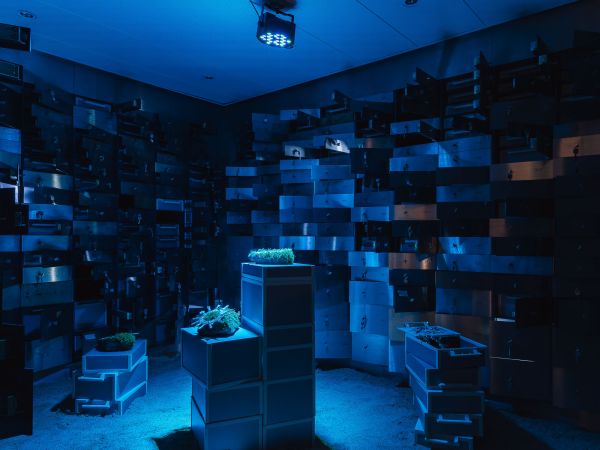 Retour de Paris : Juli Gebhardt « Out of bounds »