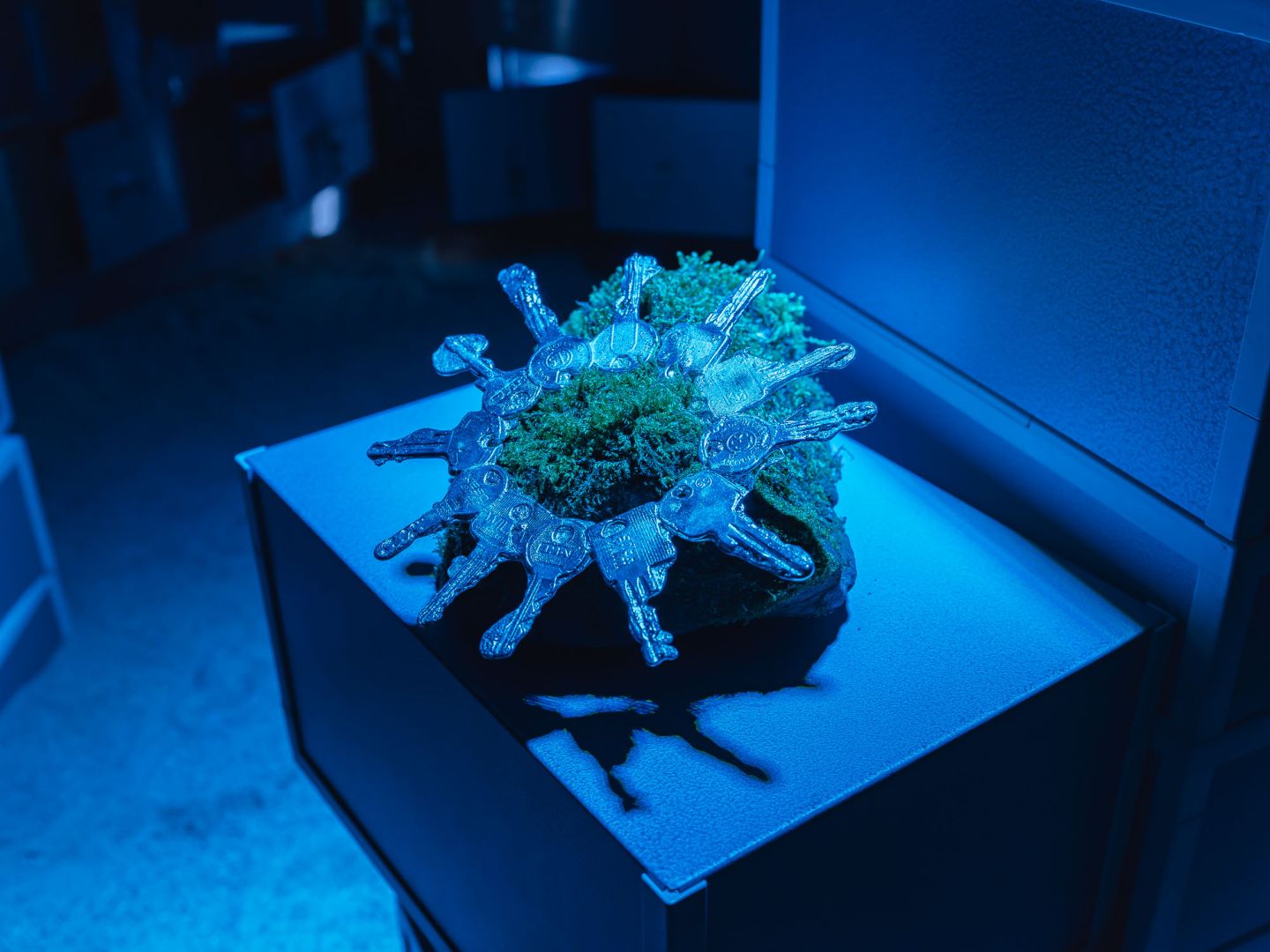 Retour de Paris : Juli Gebhardt « Out of bounds »