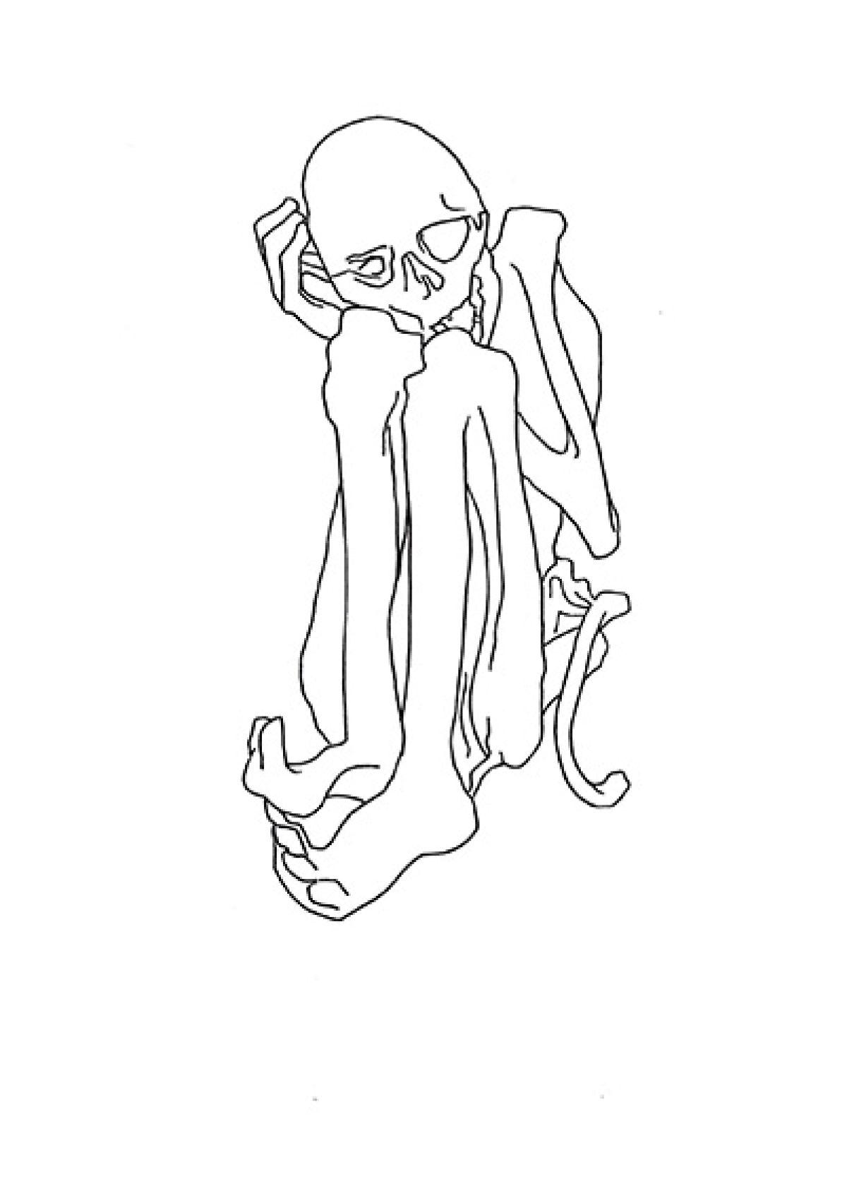 Heidi Wood : collections francophones