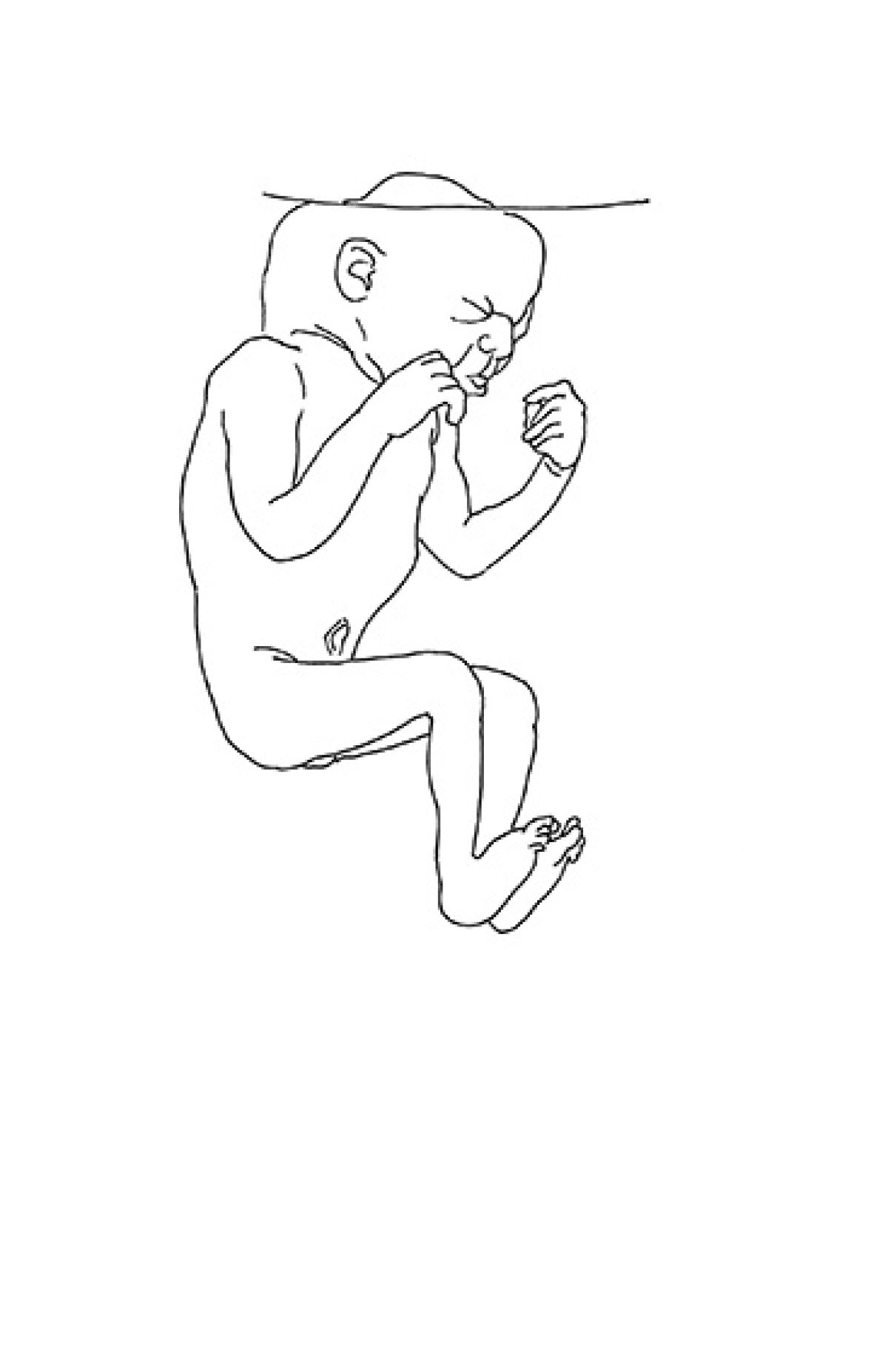 Heidi Wood : collections francophones