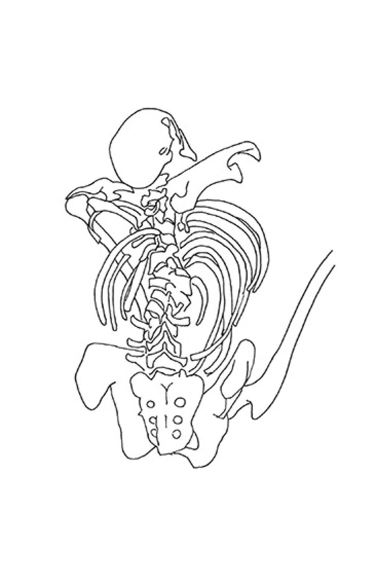 Heidi Wood : collections francophones