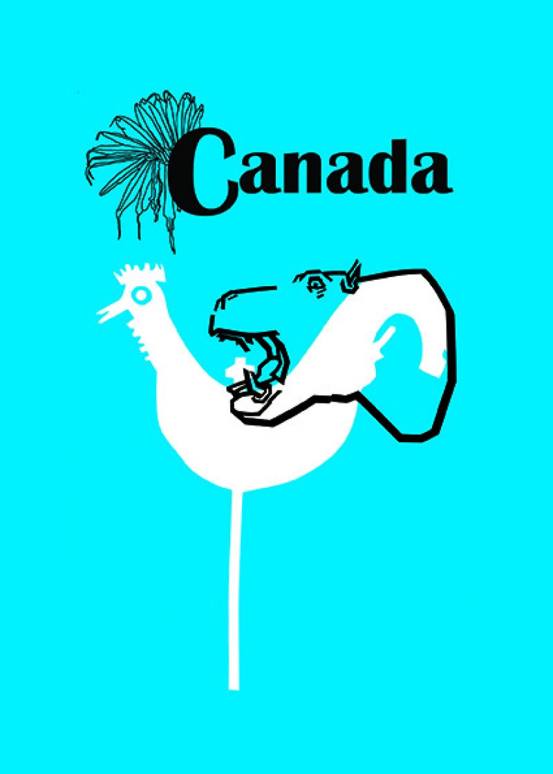 Heidi Wood : collections francophones