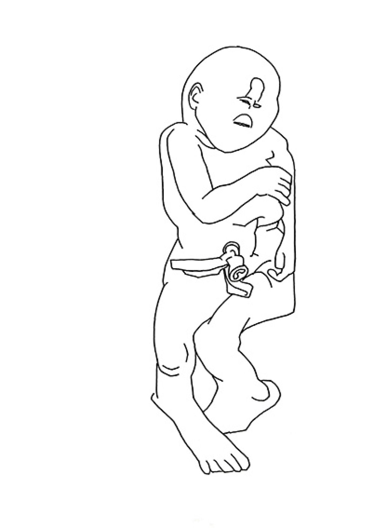 Heidi Wood : collections francophones