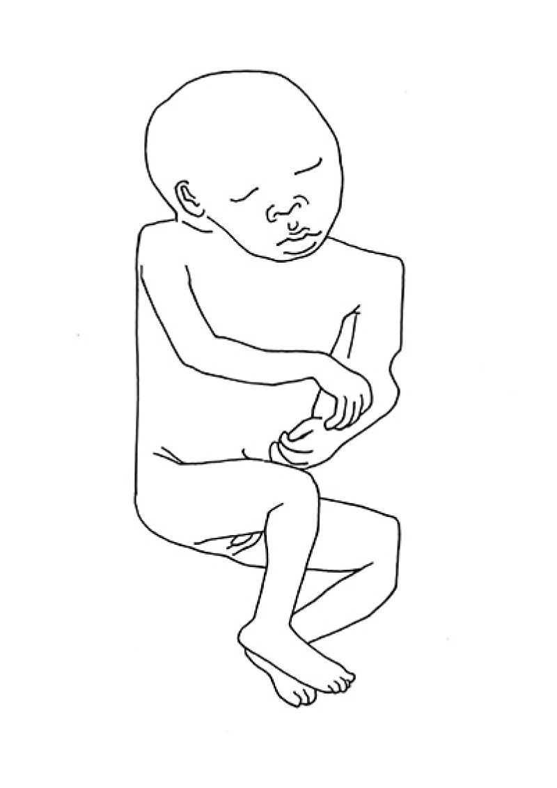 Heidi Wood : collections francophones