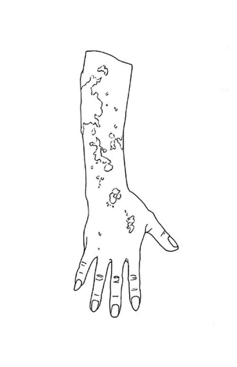 Heidi Wood : collections francophones