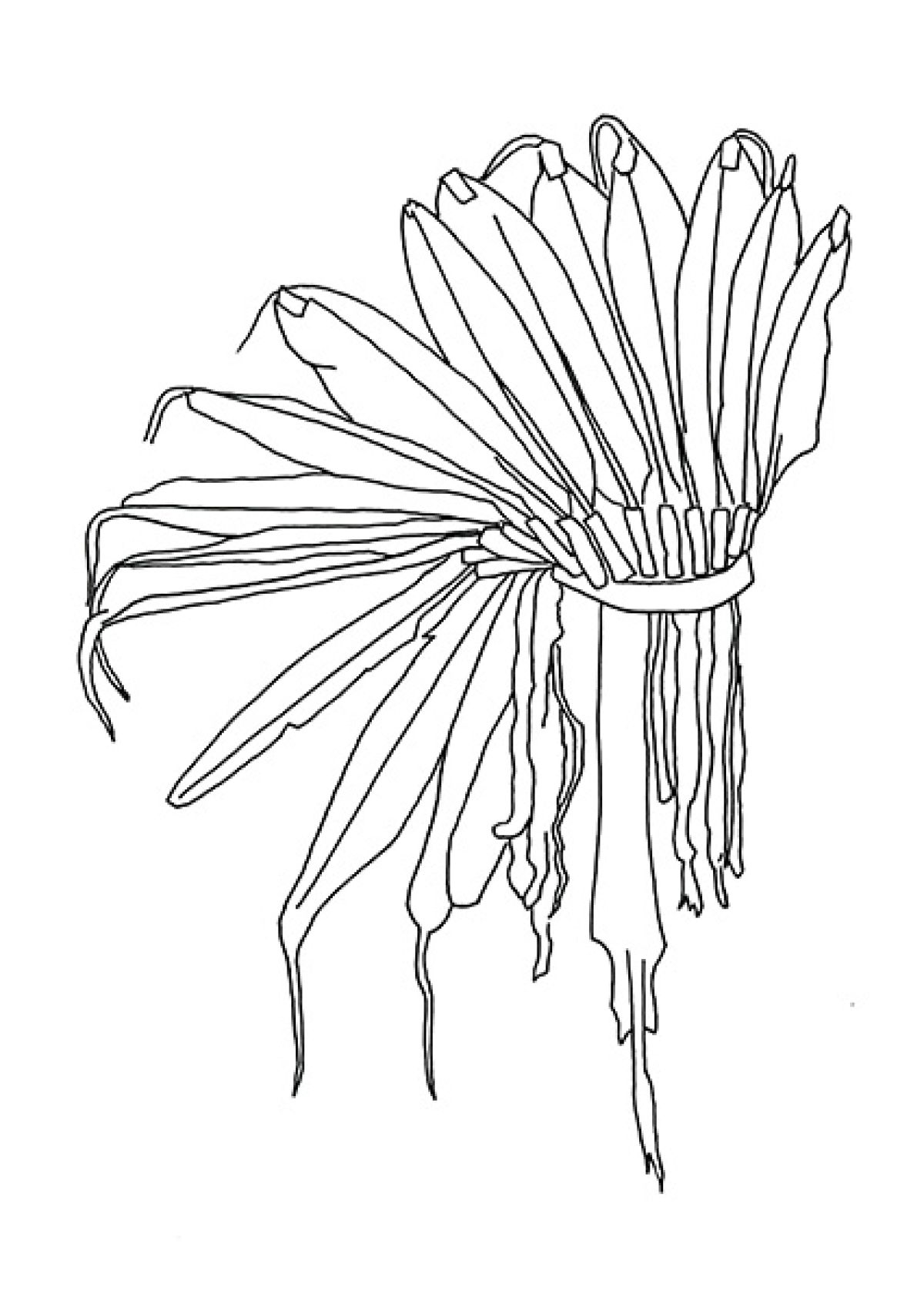 Heidi Wood : collections francophones